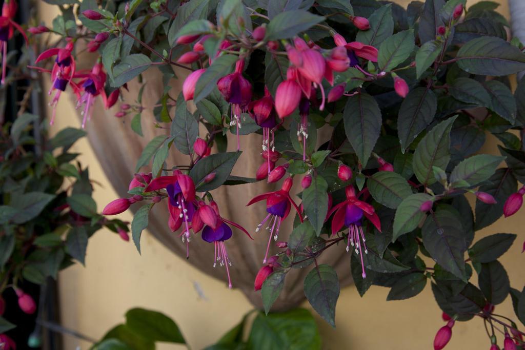 Appartement Terrace Jewel By Campo De Fiori Rome